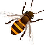 about-3-2-bee about-3-2-bee