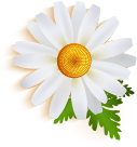 about-3-4-bee about-3-4-bee