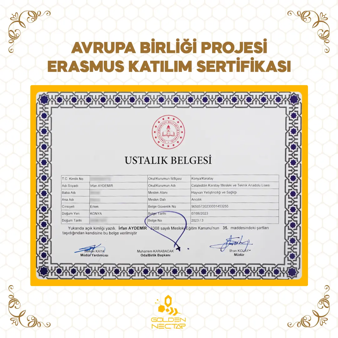 Avrupa Birliği Erasmus Katılım Sertifikası