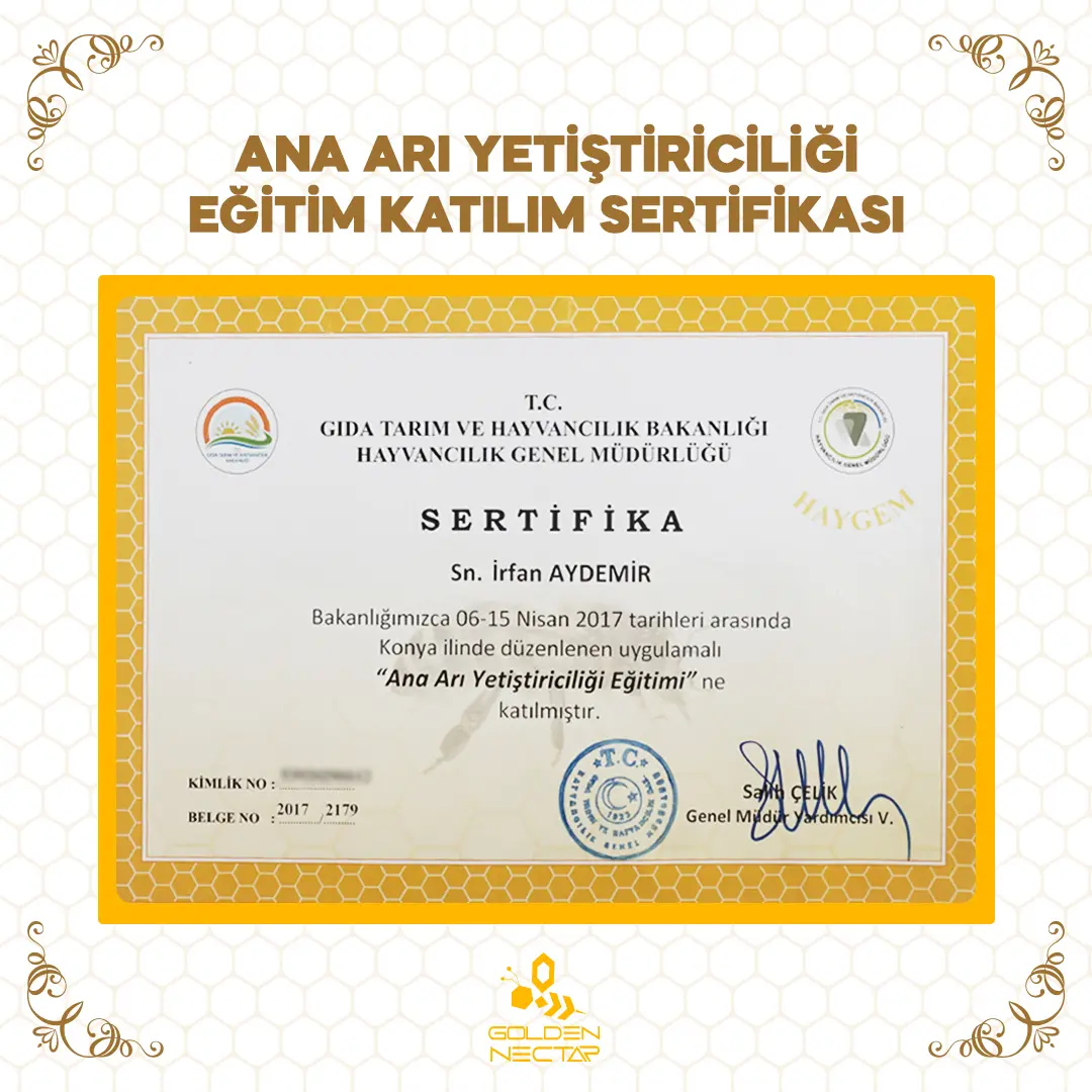 Ana Arı Yetiştiriciliği Eğitim Katılım Sertifikası